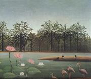 Henri Rousseau The Flamingos Spain oil painting artist